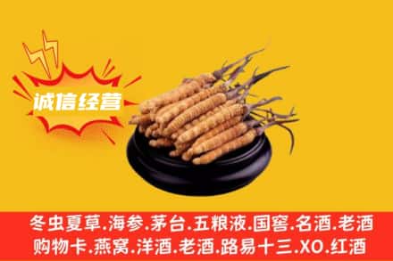 铁岭开原市回收冬虫夏草